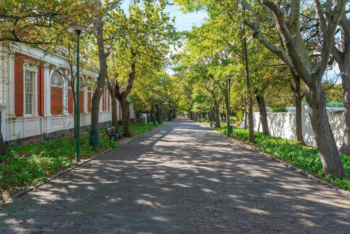 Cosy, Central, Homely Feel Home Cape Town Exterior photo